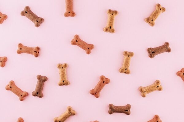 Hundekekse in Knochenform liegen auf einem rosa Untergrund